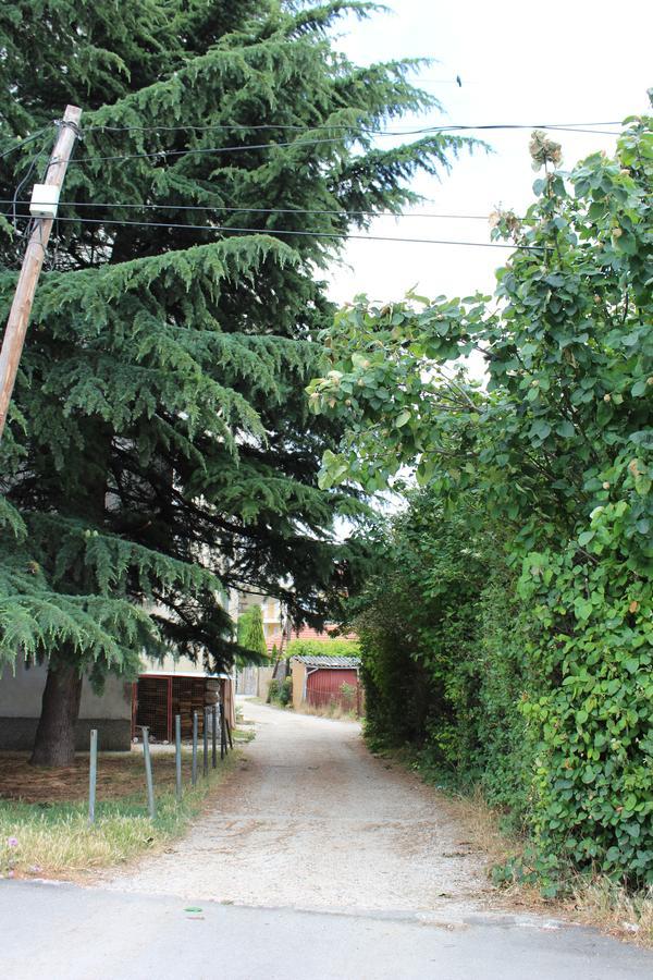 Two Bedroom Apartment Near Centre Ohrid Eksteriør bilde